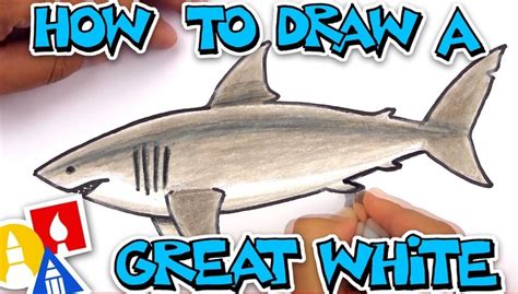 How To Draw A Realistic Great White Shark | Art For Kids Hub