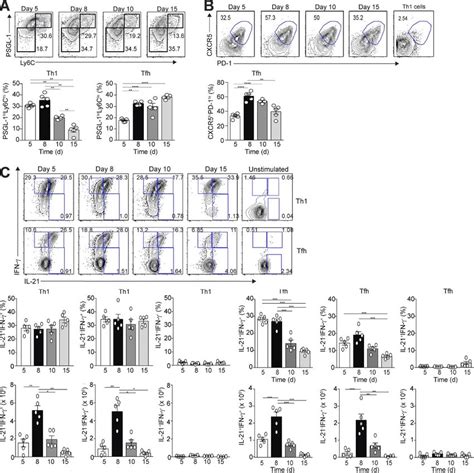 Temporal Production Of Ifn And Il By Tfh And Th Cells After Acute