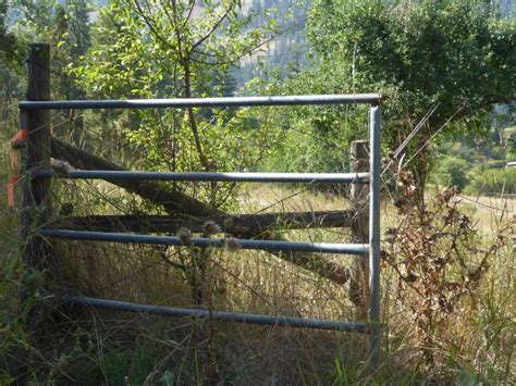 Rural Revolution: Danger lurking around every corner