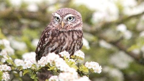 Пудов день 28 апреля 2024 года следует провести, согласно приметам и ...