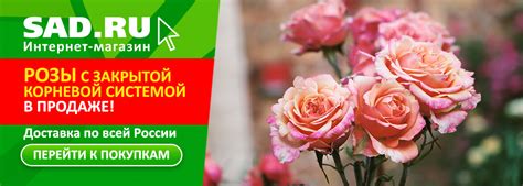 Главная страница | Sad.ru - товары для сада и огорода