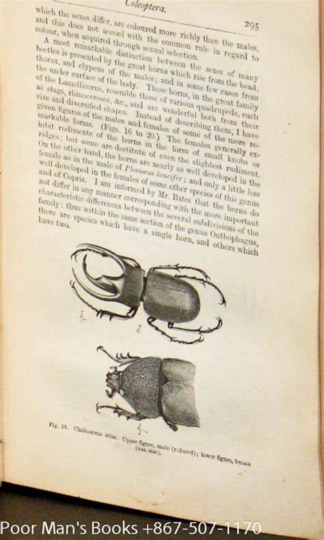 The Descent Of Man And Selection In Relation To Sex By Charles Darwin Hardcover D