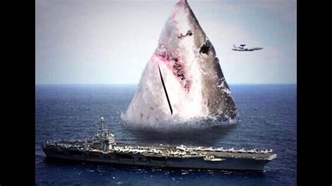 Worlds Largest Shark Animal Ever CAUGHT ON CAMERA THE MEGALODON - Video