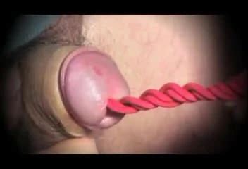 Hombre Transexual Suena Uretral Pantie Nylon Polla Consolador Gay XHamster