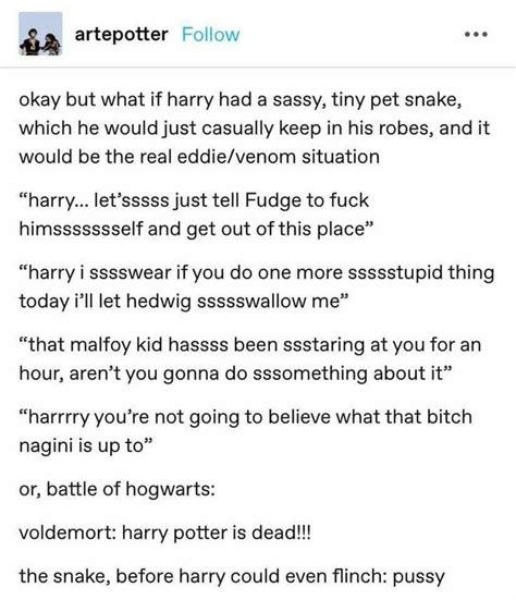 Pin By Helluo Librorum On Harry Potter Fantastic Beasts Harry Potter Tumblr Gay Harry