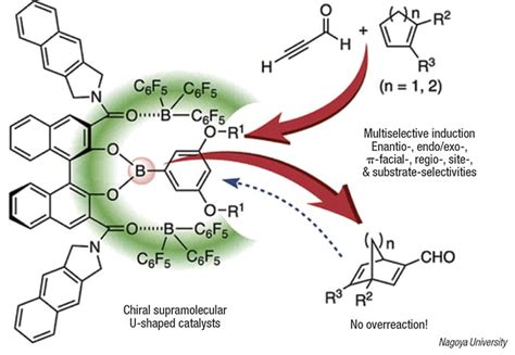 Artificial Enzyme Shows Multiple Selectivity Chemical Engineering