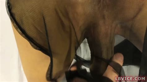 Ladyboy Enjoy Blows Dick And Ass Fucked