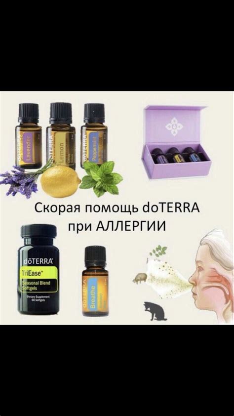 Пин от пользователя Елена на доске Делаем Мыло | Doterra эфирные масла ...