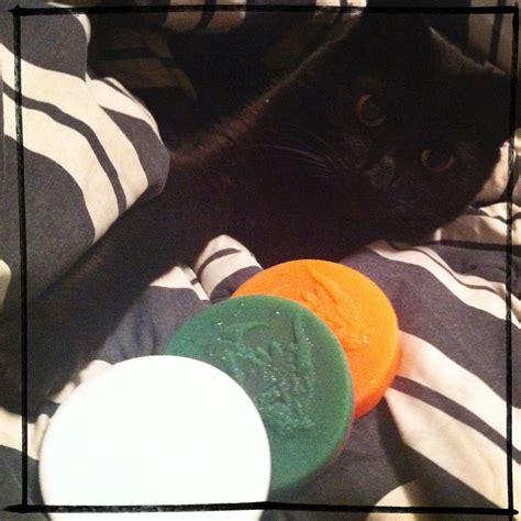 Review Bad Dragon Crackers Cockatrice Lorax Of Sex