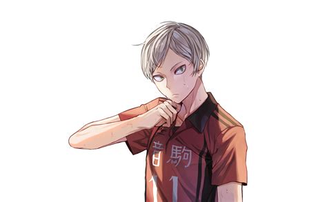 Lev Haiba Hd Wallpapers