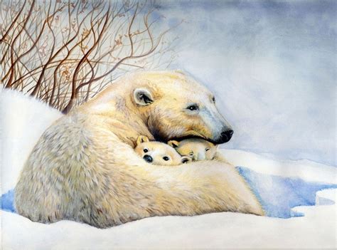 Дом белого медведя 2024 | ВКонтакте