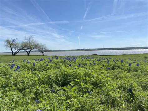 City of Grand Prairie - Municipal Government