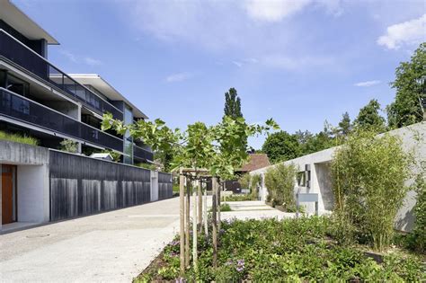 Mfh L Wenfeld Rombach Felber Widmer Schweizer Architekten Sia Ag