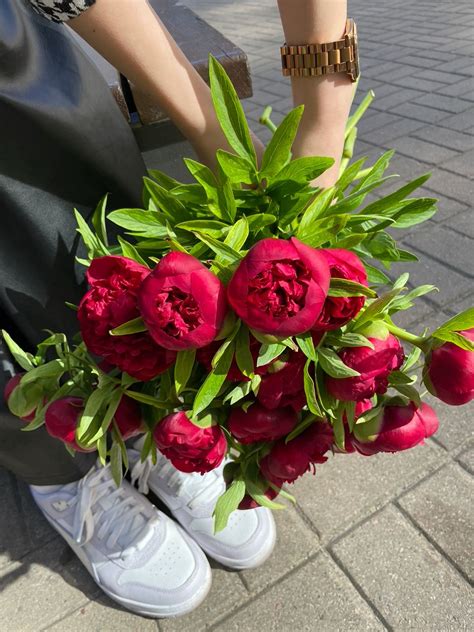 Пион Кэрол (Carol): описание и фото | блог интернет - магазина АртФлора