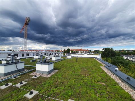 Dachy Zielone W Szczecinie Landscapedesign