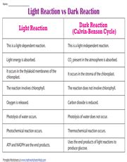 photosynthesis worksheets