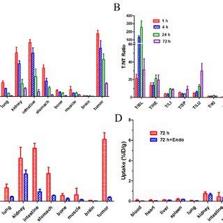 Representative Planar Gamma Images Of U87MG Tumor Bearing Nude Mice At