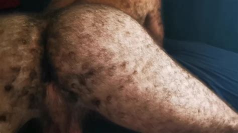 VERY Hairy Pig Ass ThisVid