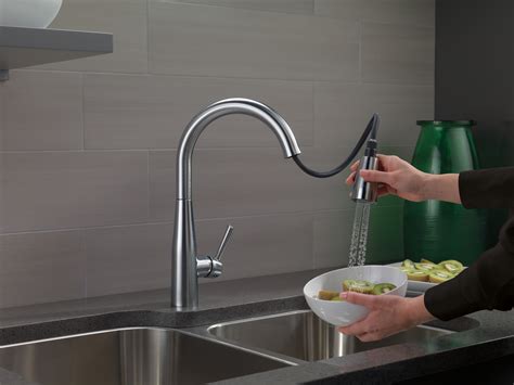 Delta Essa® Single Handle Pull Down Kitchen Faucet