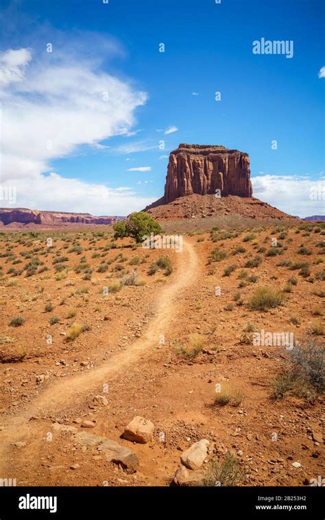 Hiking The Wildcat Trail In The Monument Valley In The Usa Stock Photo