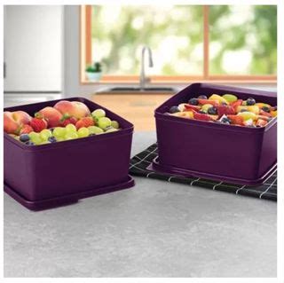 Pote Quadrado L Da Linha Basic Line Tupperware Shopee Brasil