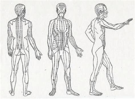 Meridians - Crossing Back To Health