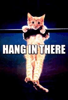 hang   kitty gifs tenor