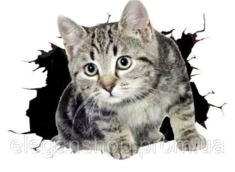 Наклейка Декоративная Виниловая на Стену на Шкаф на Туалет на Машину на ...