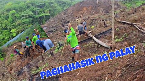 Pagtatanim Ng Palay Sa Kaingin Buhay Probinsya Countryside Life PH