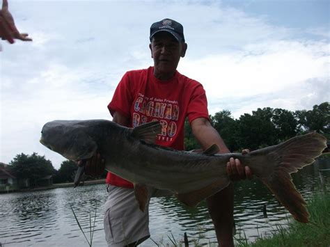 Heavy 38 Kilo Fish Heavy