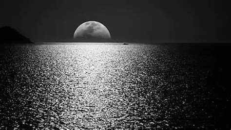 Free Masturbation Guide Porn Videos XHamster