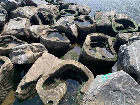 living breakwaters rebuild  design urbannext