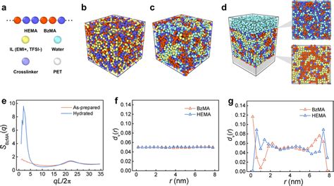 Molecular Dynamics Md Simulation A Schematics Of A Coarse Grained