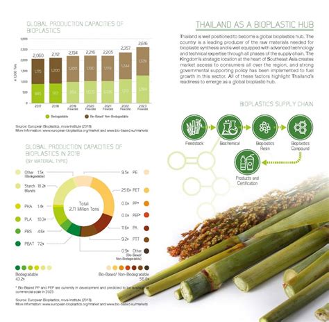 Thailand Is Now Worlds Second Largest Maker Of Bioplastics