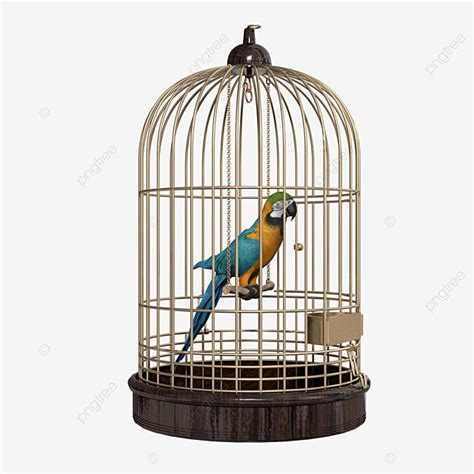 Cage Hd Transparent, Parrot In A Cage, Bird, Parrot, Animal PNG Image ...