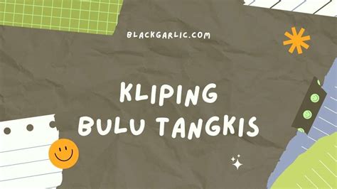 6 Contoh Kliping Bulu Tangkis Sejarah Singkat Teknis Dasar Dan