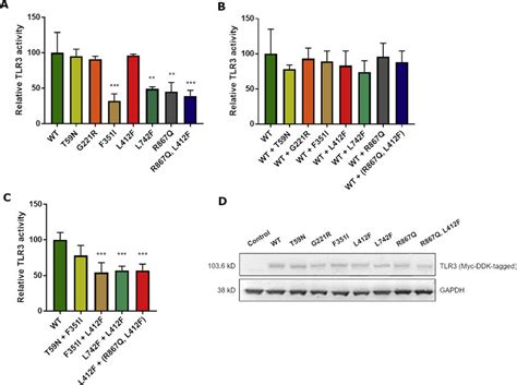 Activity And Expression Of The Wt And Mutated Tlr Alleles A