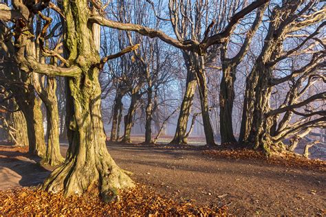 A walk in the park - part II on Behance