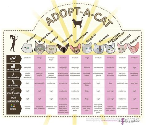 Cat Size Chart by Breed - Mckenna-has-Lyons