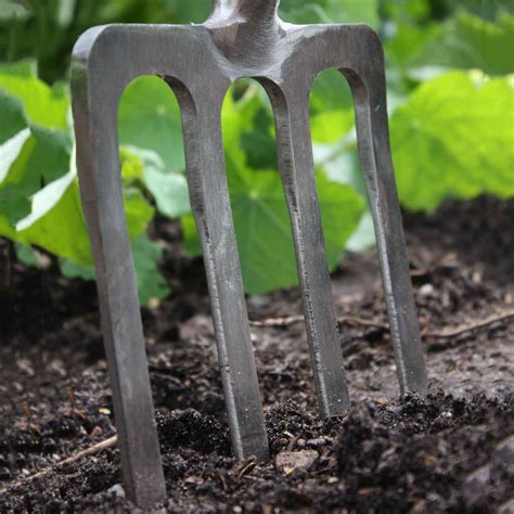 Sneeboer Digging Fork Harrod Horticultural Uk