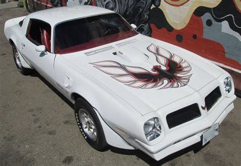 1976 Pontiac Trans Am Trans Am For Sale Hemmings Motor News Trans