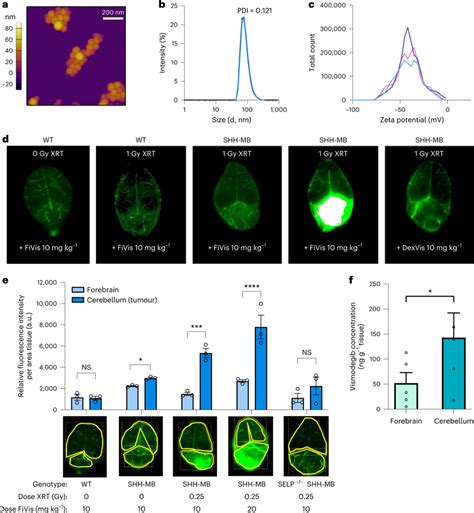 P Selectin Targeted Nanoparticles Preferentially Target Shh Mb Tumours