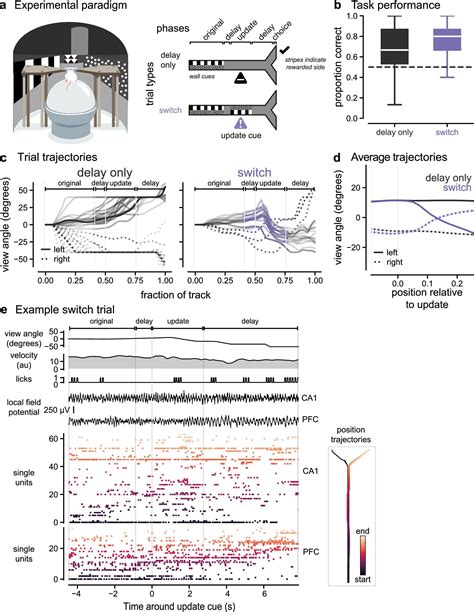 How new information triggers the brain to navigate changing