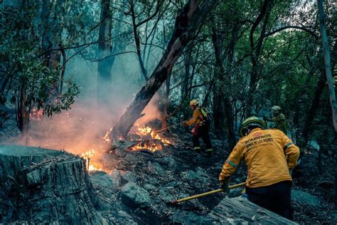 Advierten Que Hasta El Jueves El Ndice De Riesgo De Incendios