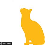 victory alley cat allies