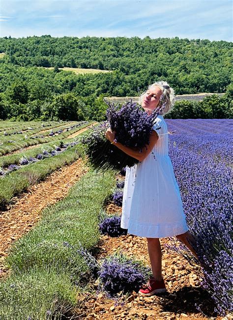 Immerse Yourself in the Beauty of Lavender Festival 2025: A Must-Attend