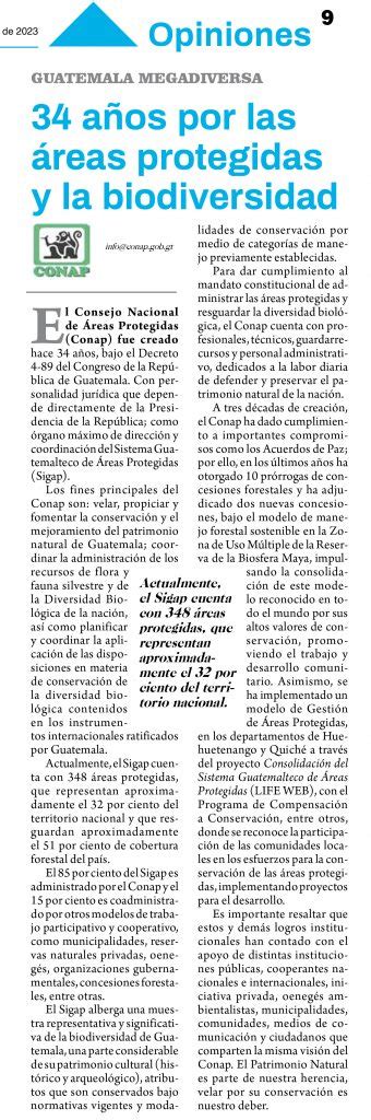 Columna publicada en el Diario de Centro América