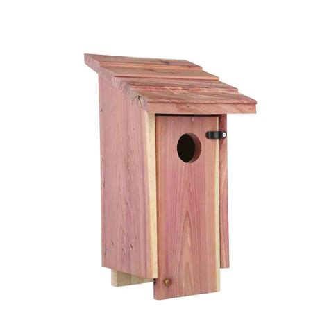 Cedar House Wild Bird Feeders Pennington