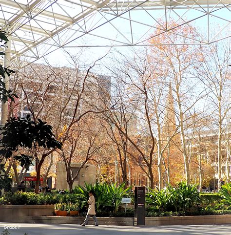 Perth Daily Photo What Is It About Naked Trees Anyway