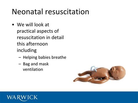 Ppt The Principles Of Good Neonatal Care And Why Neonatal Resuscitation Is Important